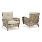 Braylee Lounge Chair with Cushion (Set of 2)